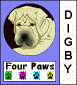 Digy Four Paws