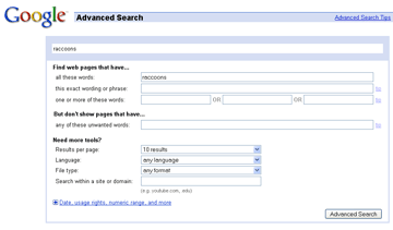 Goole Search