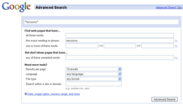 Google Search