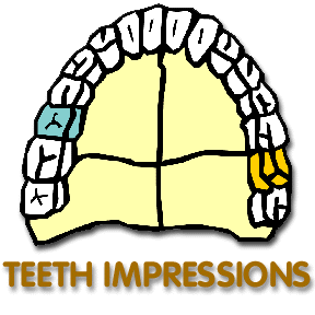 Teeth Impressions